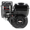 Moteur BRIGGS & STRATTON 1062320037H5