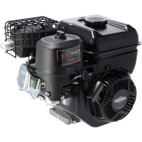 Moteur BRIGGS & STRATTON 1062320272F1