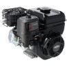 Moteur BRIGGS & STRATTON 1062320272F1