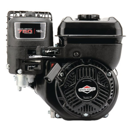 Moteur BRIGGS & STRATTON 1062320272F1