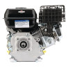 Moteur BRIGGS & STRATTON 1062320272F1