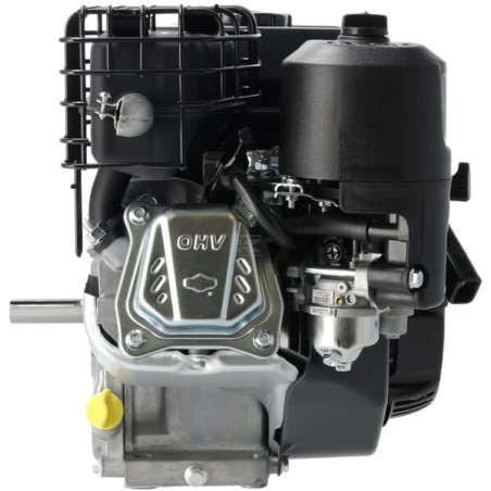Moteur BRIGGS & STRATTON 1062320272F1