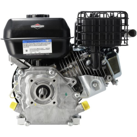 Moteur BRIGGS & STRATTON 1062320272F1
