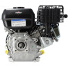 Moteur BRIGGS & STRATTON 1062320272F1