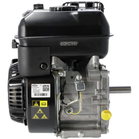 Moteur BRIGGS & STRATTON 1062320272F1