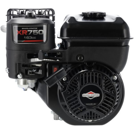 Moteur BRIGGS & STRATTON 1062320272F1