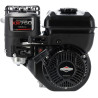 Moteur BRIGGS & STRATTON 1062320272F1