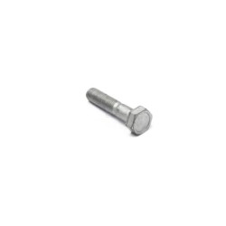 Boulon FPT 11234731FPT