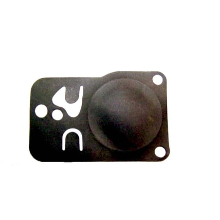 Membrane pompe Briggs et Stratton 272638