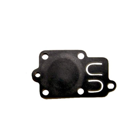 Membrane Briggs et Stratton 270026