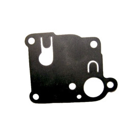Membrane Briggs et Stratton 270253
