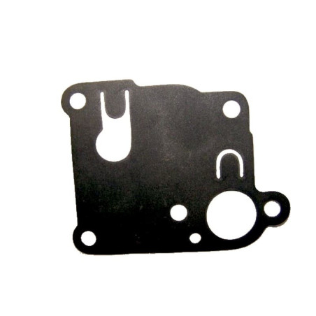 Membrane Briggs et Stratton 270253