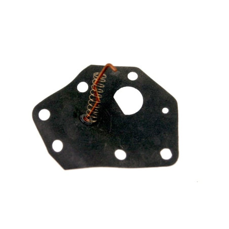 Membrane Briggs et stratton 299637