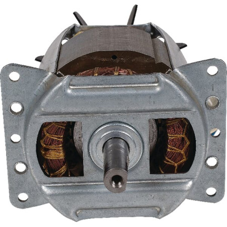 Moteur électrique WOLF-GARTEN 1141082