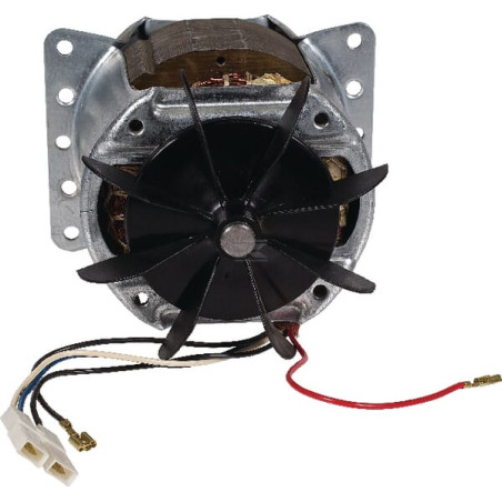 Moteur électrique WOLF-GARTEN 1141082