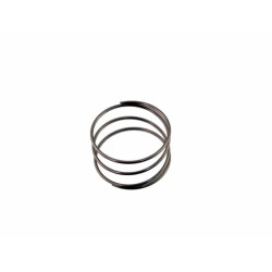 Ressort de membrane Briggs et stratton 691801 / 261395