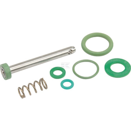 Kit BIRCHMEIER 11664910