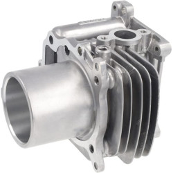 Cylindre complet HONDA 12100Z9L405