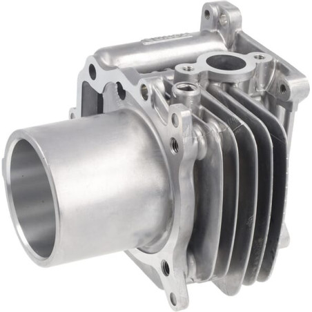 Cylindre complet HONDA 12100Z9L405