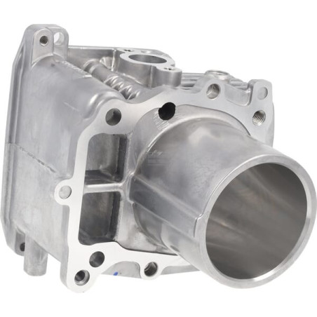 Cylindre complet HONDA 12100Z9L405