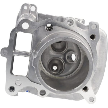 Cylindre complet HONDA 12100Z9L405