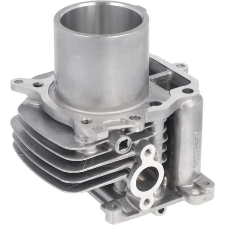 Cylindre complet HONDA 12100Z9L405