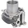 Cylindre complet HONDA 12100Z9L405