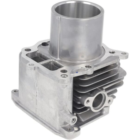Cylindre complet HONDA 12100Z9L405
