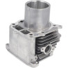 Cylindre complet HONDA 12100Z9L405