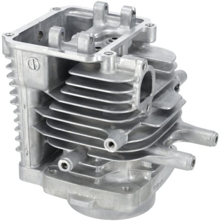 Cylindre complet HONDA 12100Z0A407