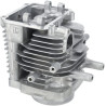 Cylindre complet HONDA 12100Z0A407
