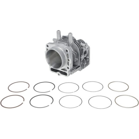 Cylindre complet HONDA 12100Z0A407