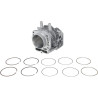 Cylindre complet HONDA 12100Z0A407