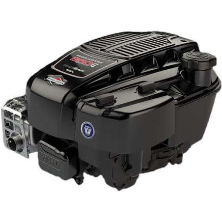 Moteur BRIGGS & STRATTON 123P320035H5