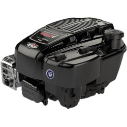 Moteur BRIGGS & STRATTON 123P020052H5