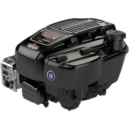 Moteur BRIGGS & STRATTON 123P020052H5