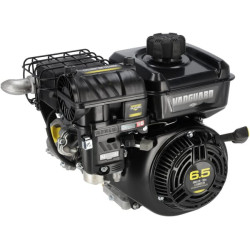 Moteur BRIGGS & STRATTON 12V3320034F1