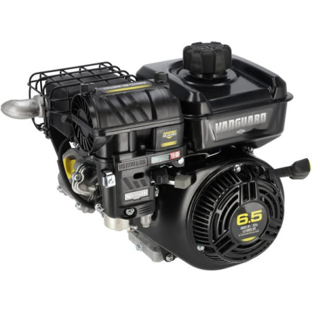 Moteur BRIGGS & STRATTON 12V3320034F1