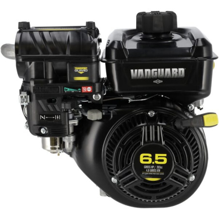 Moteur BRIGGS & STRATTON 12V3320034F1