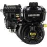 Moteur BRIGGS & STRATTON 12V3320034F1