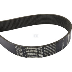 Courroie OPTIBELT 12PK1555