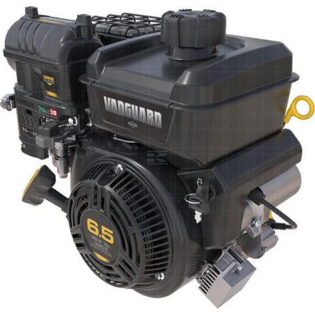 Moteur BRIGGS & STRATTON 12V3370009F1