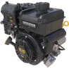 Moteur BRIGGS & STRATTON 12V3370009F1