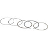 Segments HONDA 13010Z0AL32