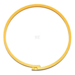 Bague CASE IH 1286026C1