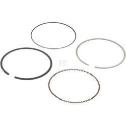 Segments LONCIN 1300701840001