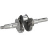 Vilebrequin LONCIN 1302900490002