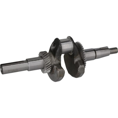 Vilebrequin LONCIN 1302900410002