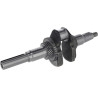 Vilebrequin LONCIN 1302901020001