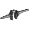 Vilebrequin LONCIN 1302901020001